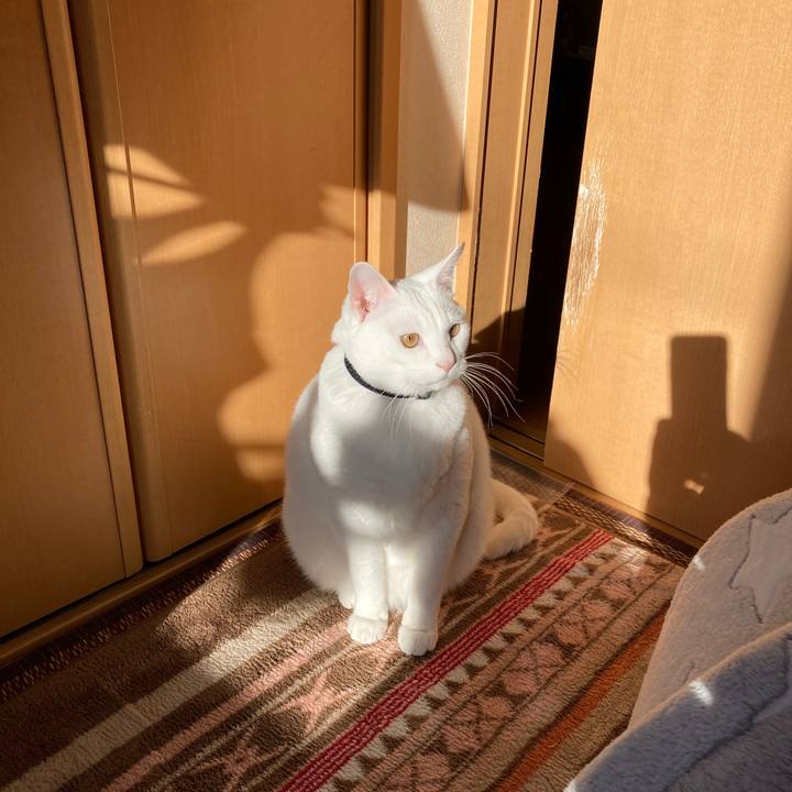 E3069acb 1f0c 4cbb a621 cb6c58938ca9 1645687067979