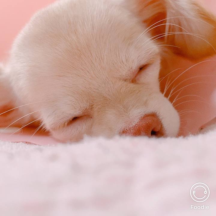 E306be8e b61c 47ed 960c 032d520649d5 1598837637930