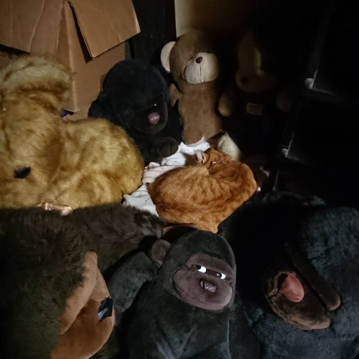 E306ece3 9df1 4a25 82aa f2b0ecb8f123 1608029935437