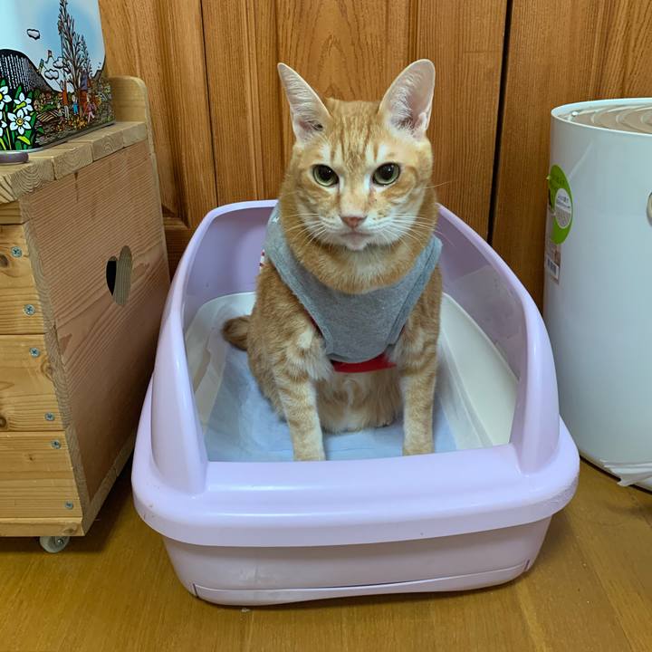 E3078f2b 1651 47cf bdf2 99dec965babf 1605222820744