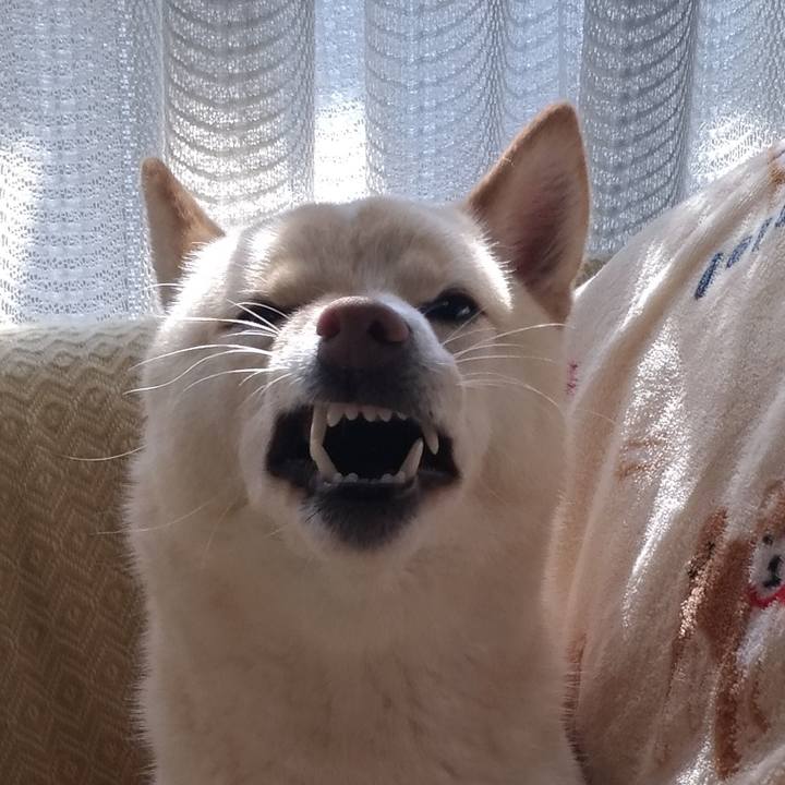 E3079d75 8d98 431e ad5c c4d6d0d1140d 1552790504390