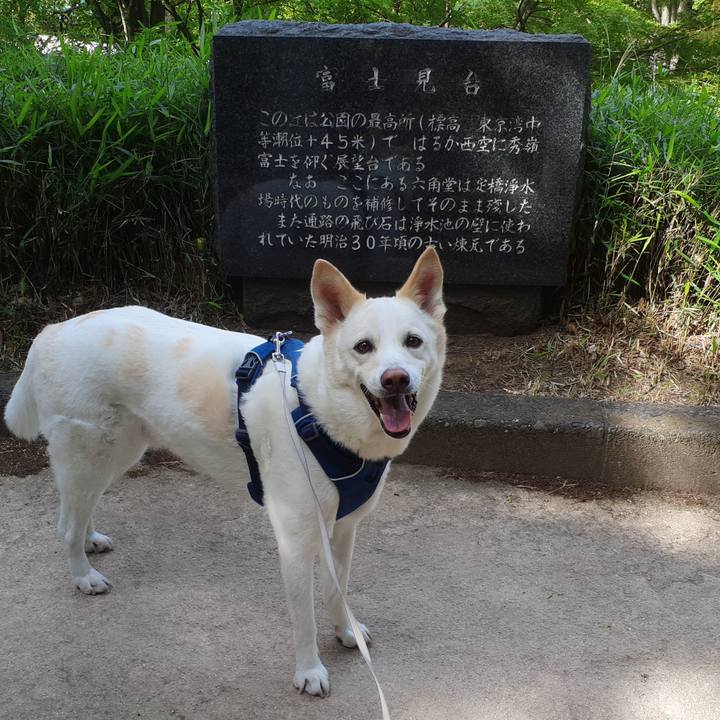 E307a429 f268 4858 b072 6b3a5a688833 1683345232989