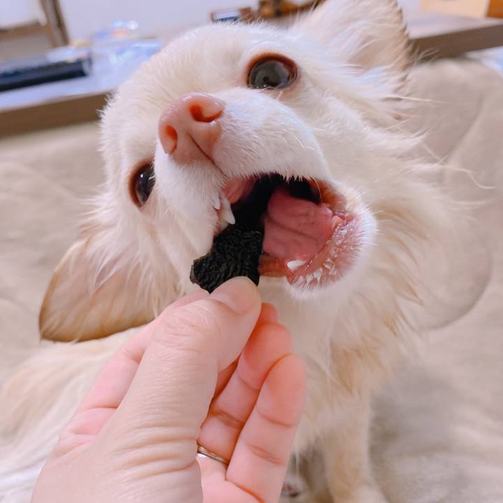 E3080b6b ee58 423b 9ab3 3fb08245b324 1644725925946