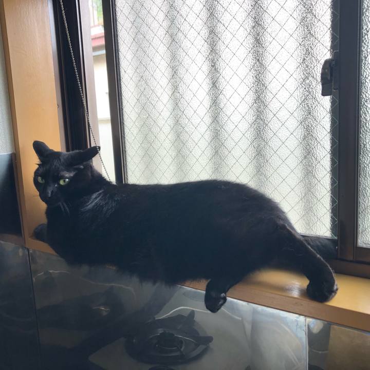 E308565a 8adb 4a5d 8daf e869a9a21e4e 1591231023775