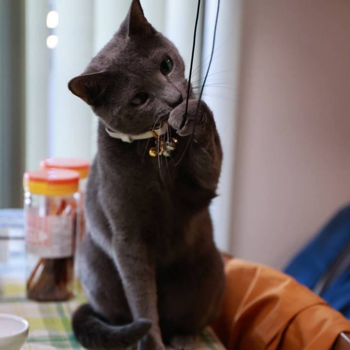 E30864d2 e95c 42b1 ab2f c0dca0b1d6f6 1651309944679