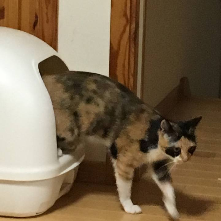 E308be86 070c 46b6 be43 6f3c50a9ce47 1522409746700