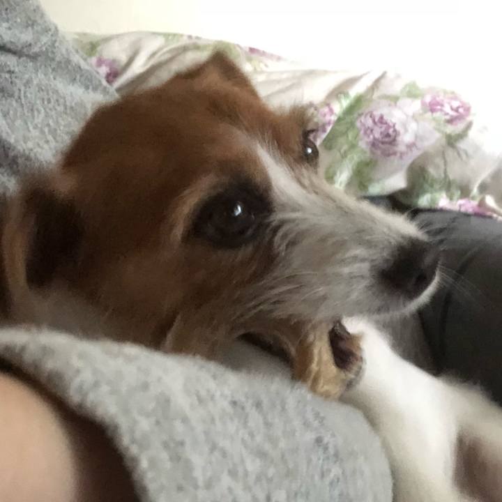 E308c1fe 5525 41d1 9ca6 64430f14fe8a 1540703674206