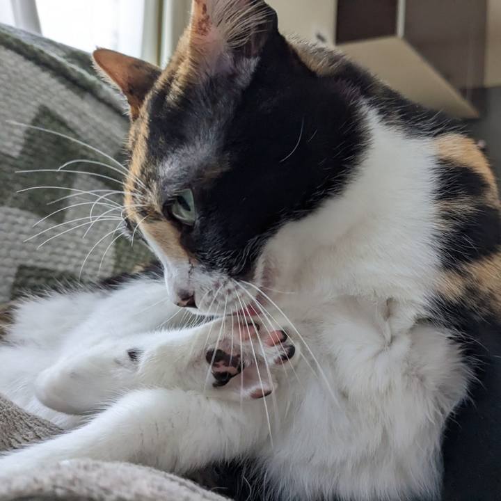 E308e4e5 5d6c 4d10 a743 05dd6b1b04b5 1692767914374