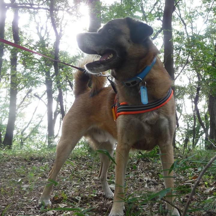 E308ee09 dcb1 4b66 b577 667c2e4ea47e 1577492634035