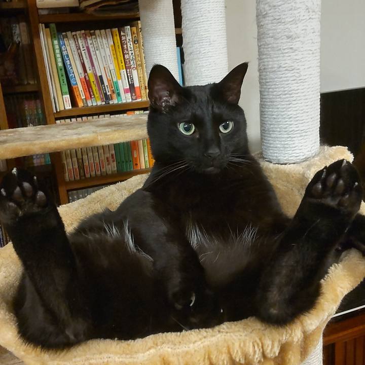 E308ee70 fe9e 43af badf 2f49793e2e18 1641570424794