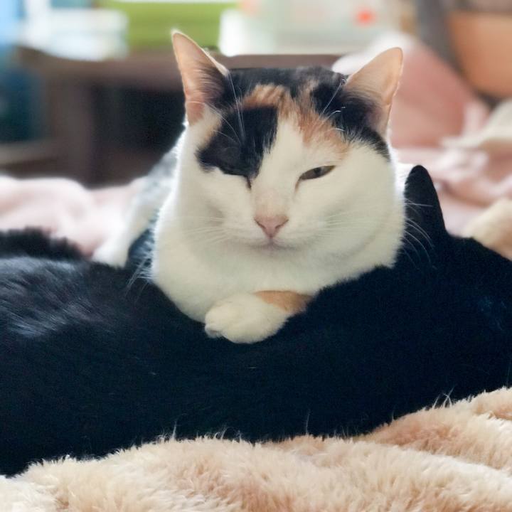 E308fb2c 7edf 4387 9f4c d570b286f301 1517664038823