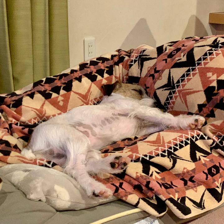 E30938f1 5ea3 4878 89bc c5a60fd51e4e 1618756400623