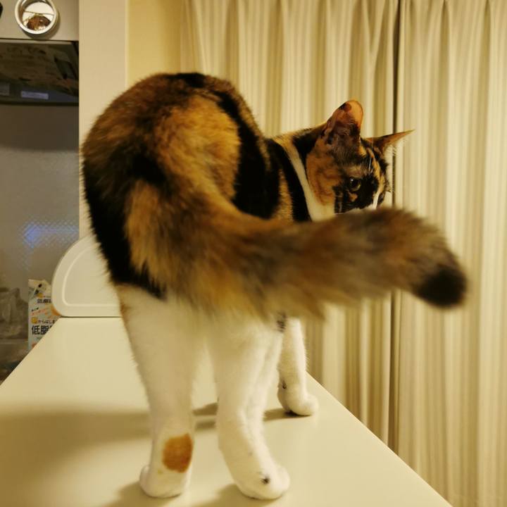 E309c9e3 8a55 47d9 bba7 932a6df16dfa 1633060877469