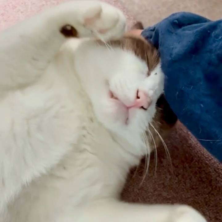 E309e8e4 4850 4de8 9ce6 2d769f2ebf09 1760597262538