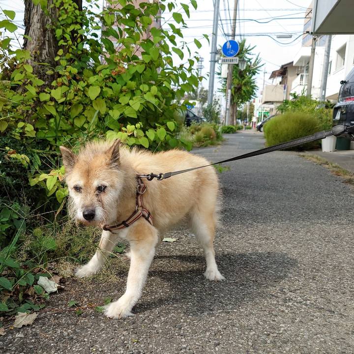 E309efef a345 4f83 b69d e190eb8d0279 1633741438562