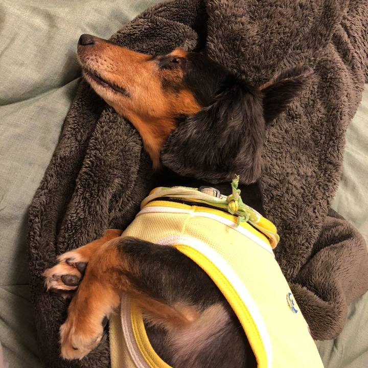 E30a1a90 0a28 404a b4eb 40a0cae78e60 1536416016346