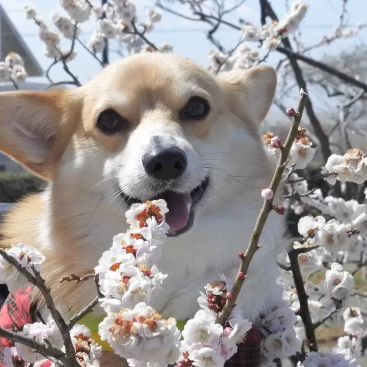 E30a42d5 f5e7 4c58 a21f ec7d5c0bd6c9 1554638091333