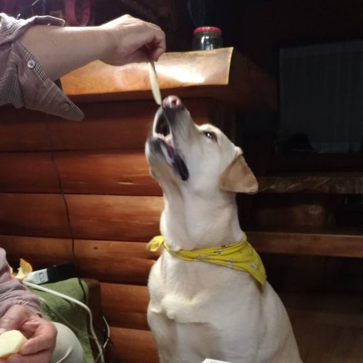 E30a58a0 5891 4c7c bf75 07f65a573a0a 1546948698956