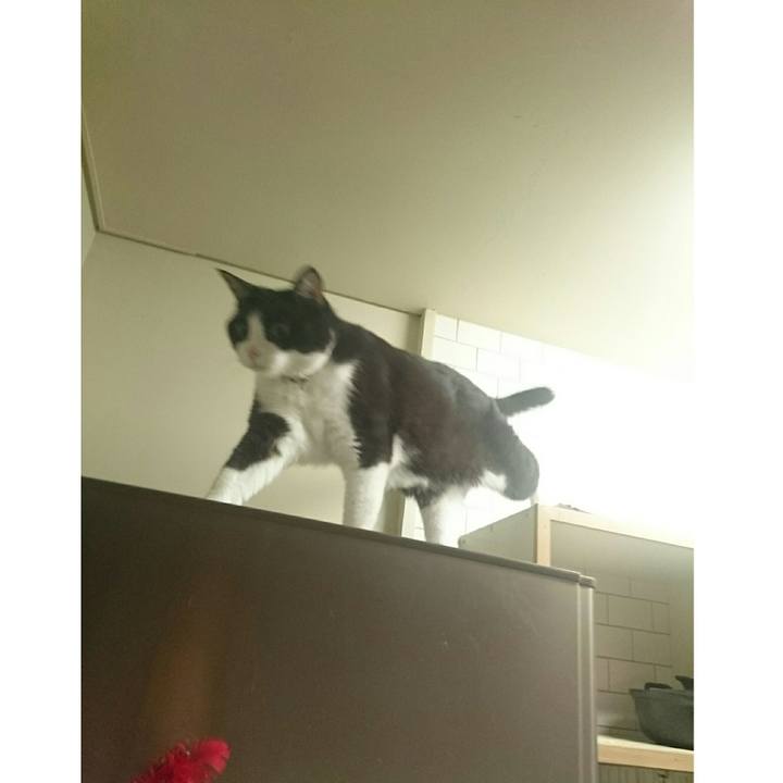 E30a6de8 6ed8 4c48 b81b 80756fdd95c5 1532784469560