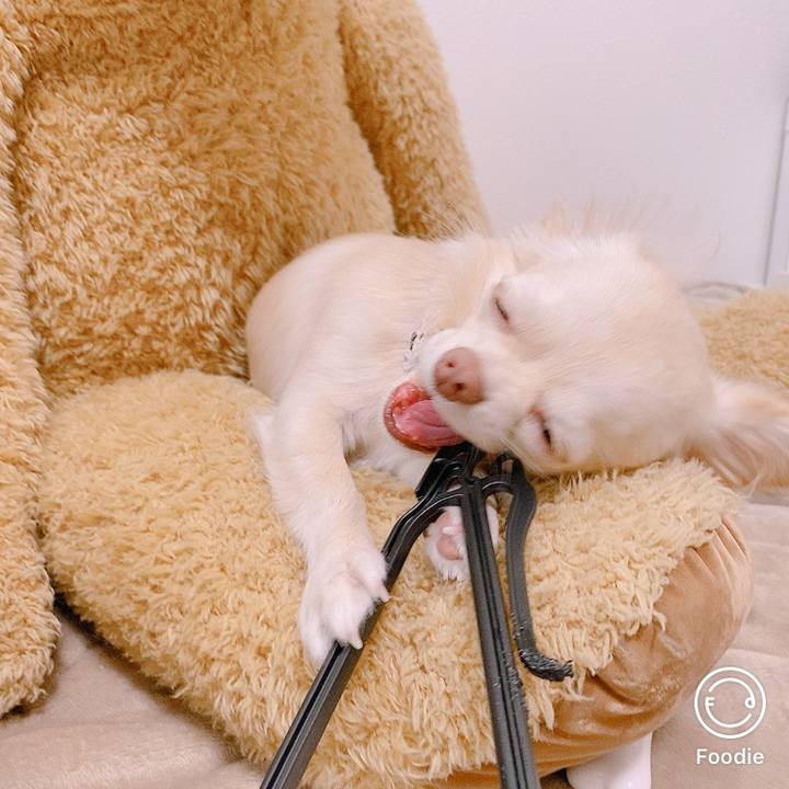 E30a78e5 bfee 4616 bc89 3fd78a9521b6 1605703088511