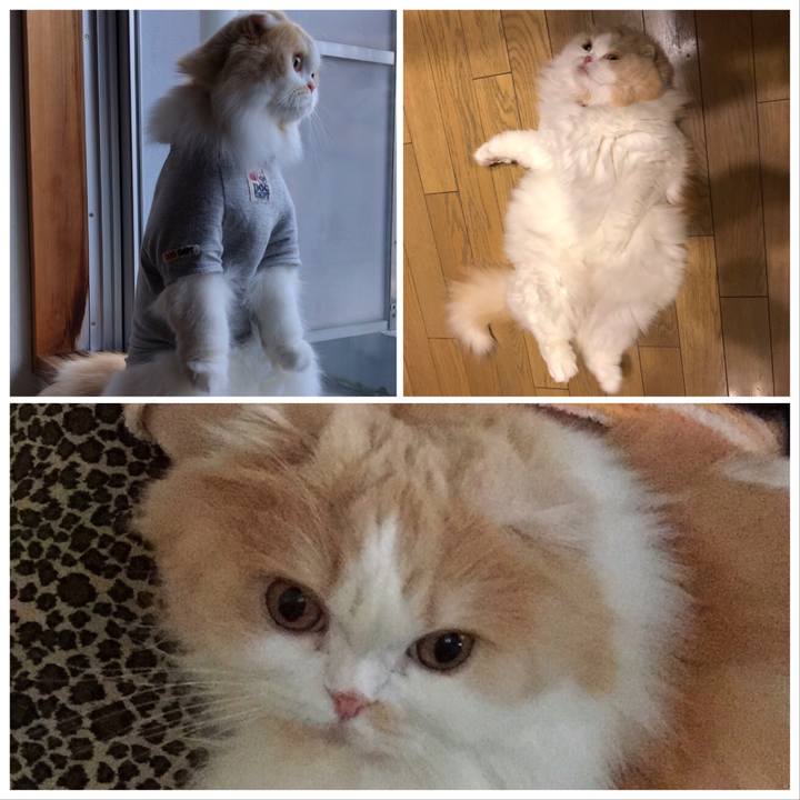 E30a9770 107b 4062 a33b 25ff55bf1e77 1561124055501