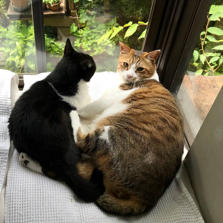 E30ac18a 4d67 4775 978e 13245de032f2 1559186179305