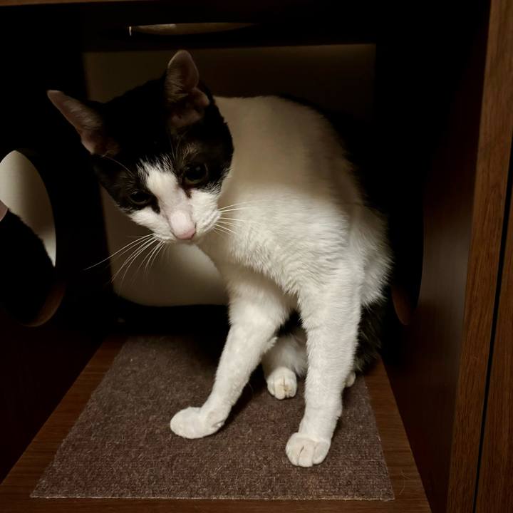 E30af55b 4ca3 41e5 9290 f74f97d26523 1759510580313