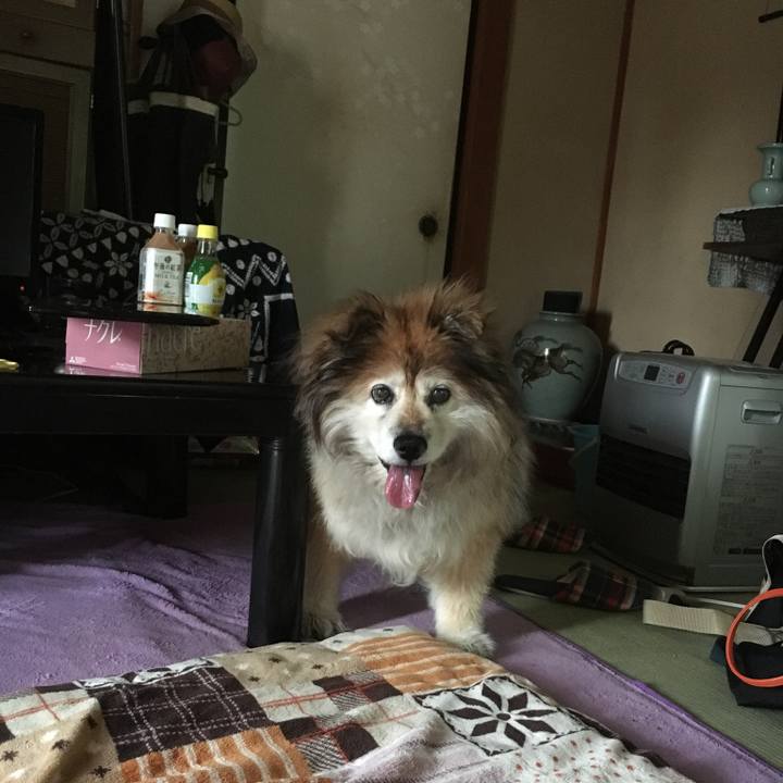 E30b0ae8 cbc7 4170 b683 8b7dae550f96 1596239968602