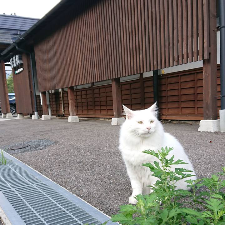 E30b101b 768d 461d b090 52d6f6f652f0 1535495150906