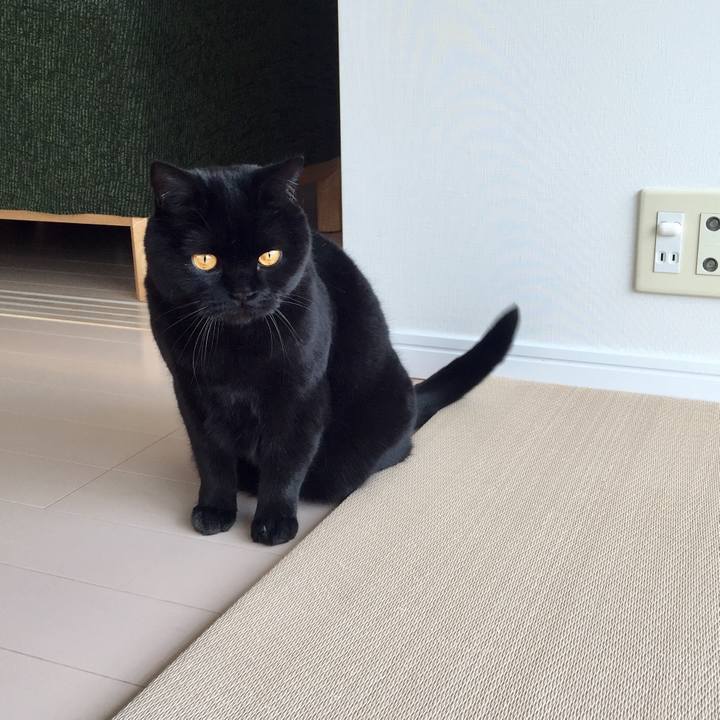 E30b2f0e 001a 4979 ac8e 176dbdb320ed 1584073632365