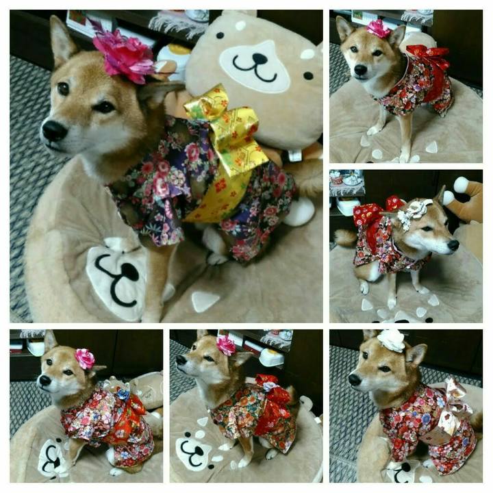 E30b5713 fdbd 40a1 bfc5 dab1a5a01014 1539522627527