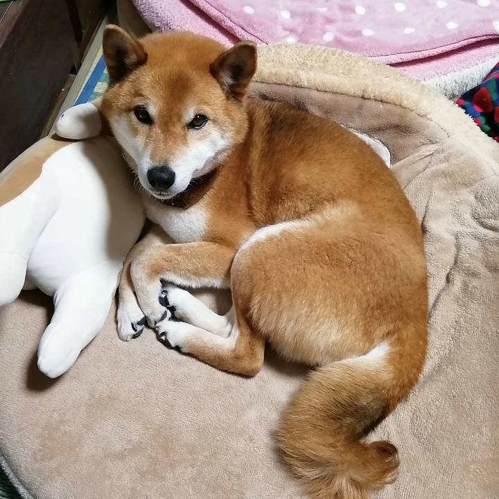 E30b5bc3 9c80 4348 938a 8acd6c9d253e 1586080316337