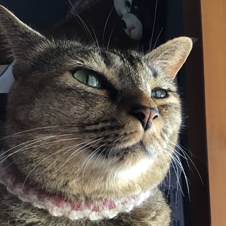 E30b63d6 22cf 4b50 9f29 1297e0398cba 1662805303528