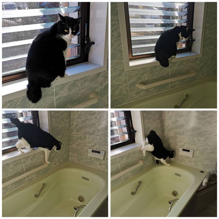 E30b7a2d 8a35 4326 ae5c 1c02f7f75316 1637119772826