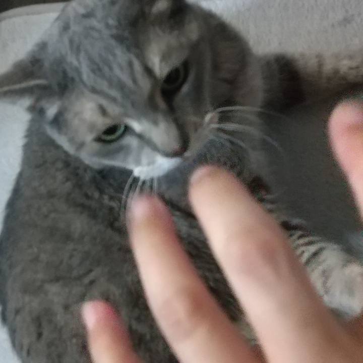 E30b8274 10a6 43c9 babe 38fa6c16f10f 1625366317233