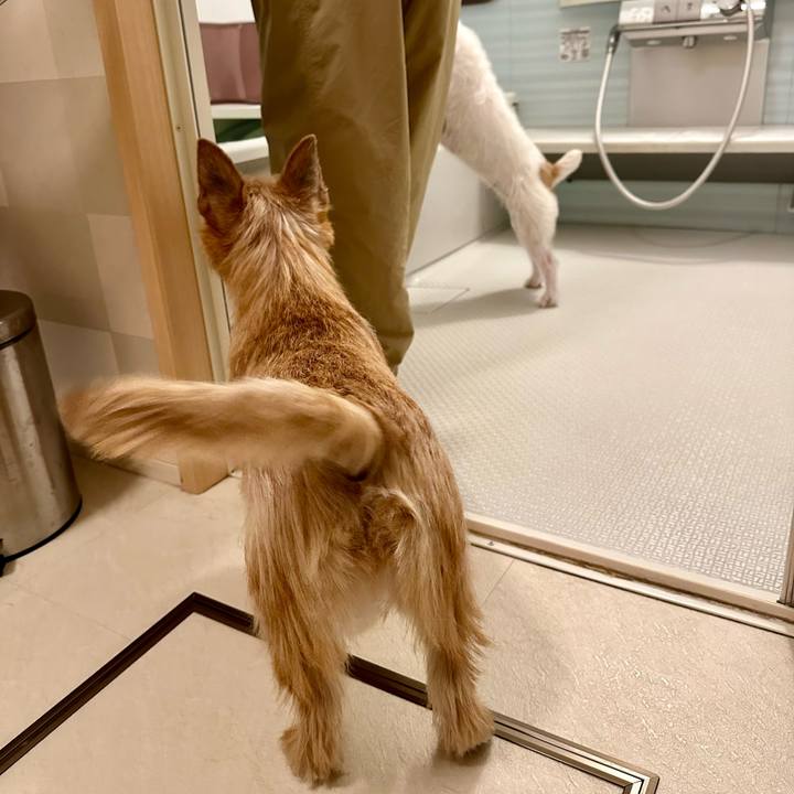 E30b95d5 db25 49b7 9f22 ea0cc95df50e 1728829295641