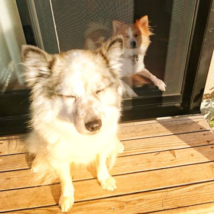 E30b9b5b 9761 4a92 99ee 12de53813209 1545228764777