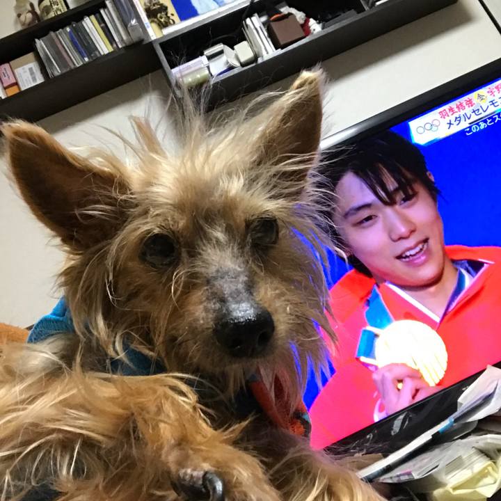 E30c4f55 69ae 41ec 9a01 529fa47fe0e1 1518864683293