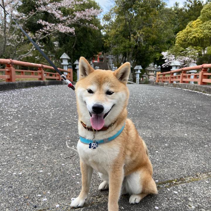 E30c53d0 6667 4cca 9dc7 9e5de9bd877c 1617453101208