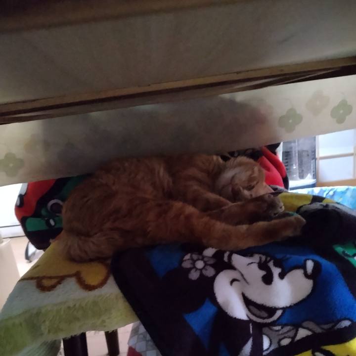 E30c60ff 547b 44af bdf7 4f77cc477bd6 1667259605278