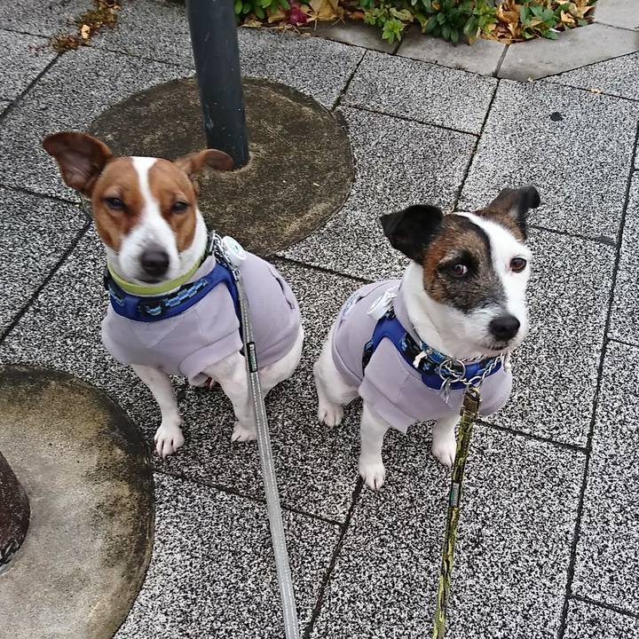 E30c7b44 05f9 4e2c 91b9 e4308ac8db9d 1578438854188