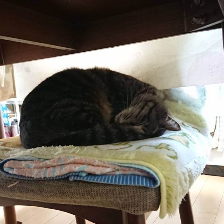 E30c7fa9 bba7 4a05 ad15 c5c58beb6e32 1649624283483