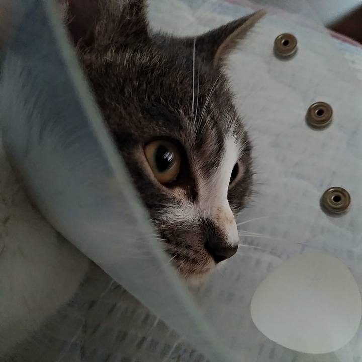 E30c8d2e 37e4 4b69 807d d8f2288c7790 1571269052924