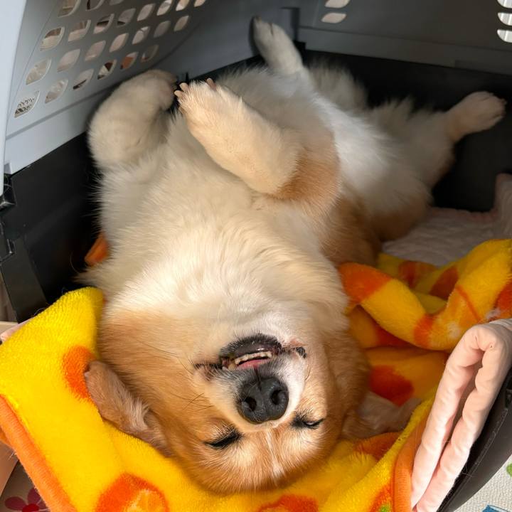 E30ca625 6e8c 42fc 998a ab9fef259f68 1764741470976