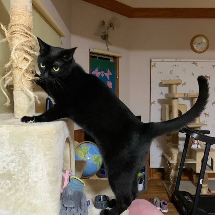 E30cafd1 896a 4295 81dc f6c039e88232 1626177033409