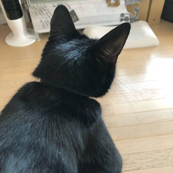 E30cd27e 05d8 46a8 a422 971ee7cb7b5a 1632132715185