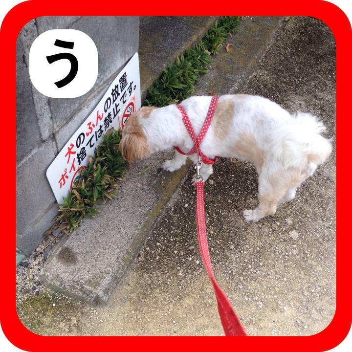 E30cd734 7b53 4508 8b9b dc8efedd5f1c 1515071512124