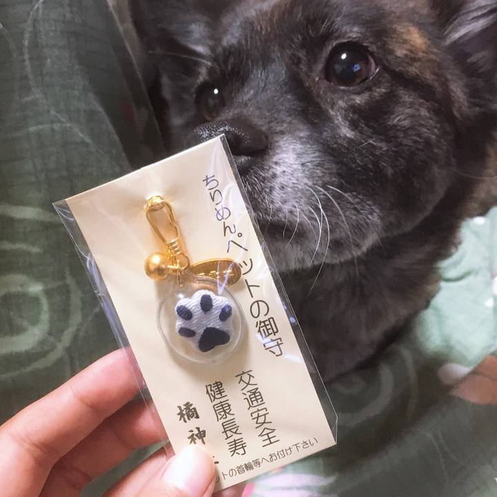 E30cdf75 2b18 48aa 90de ba10cd04d50e 1547220660690