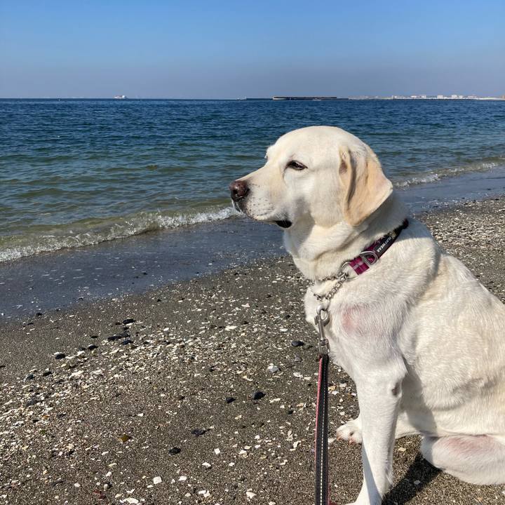 E30cf6c6 e035 4216 8e89 a49967fa7b6b 1698823776574