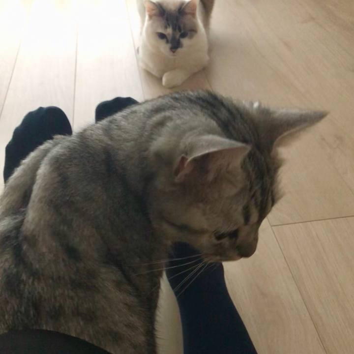 E30cfb66 0787 457a 9cbe 8ff2f7dc157a 1543538234722